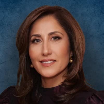 Shahla Azizi, Defense & Government Strategy